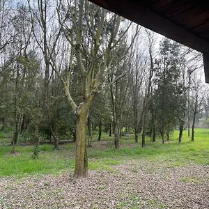 Woods Apartmán Verona